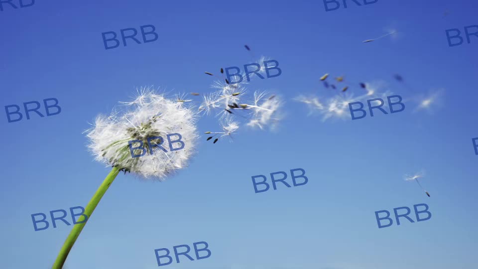 lara_fisher Cam Model Chat September 27, 2025