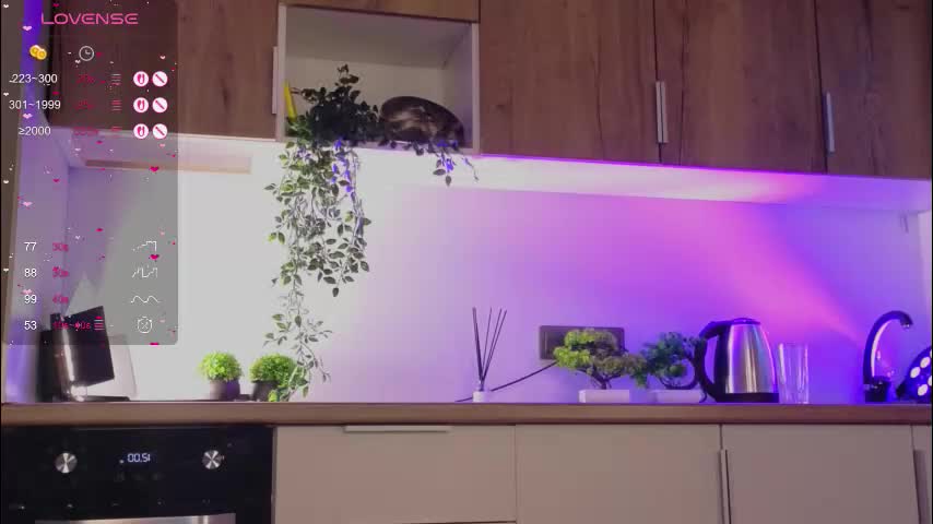 zelda_1 Cam Model Chat September 27, 2025