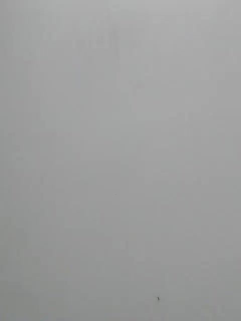 NEW_SWEET Cam Model Chat September 27, 2025