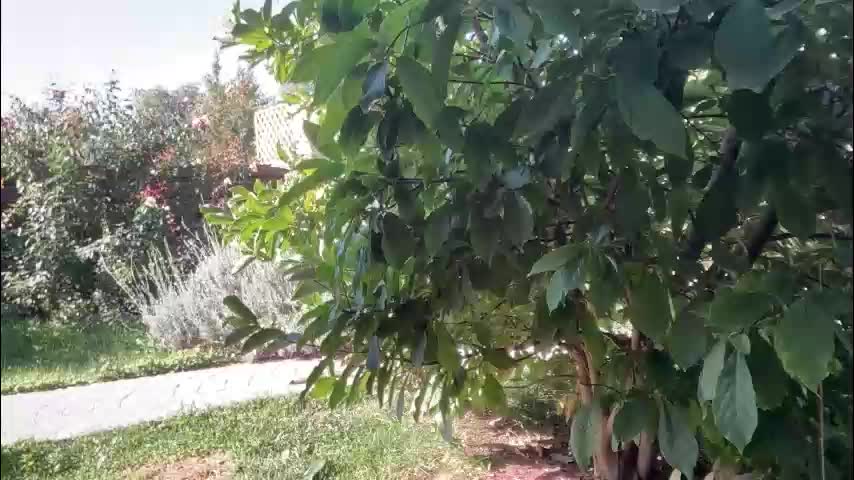 patry333 Cam Model Chat September 27, 2025