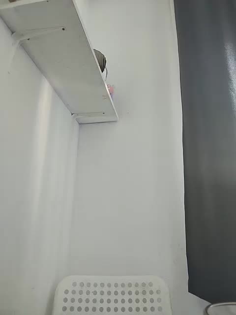 MonicaMilf Cam Model Chat September 27, 2025