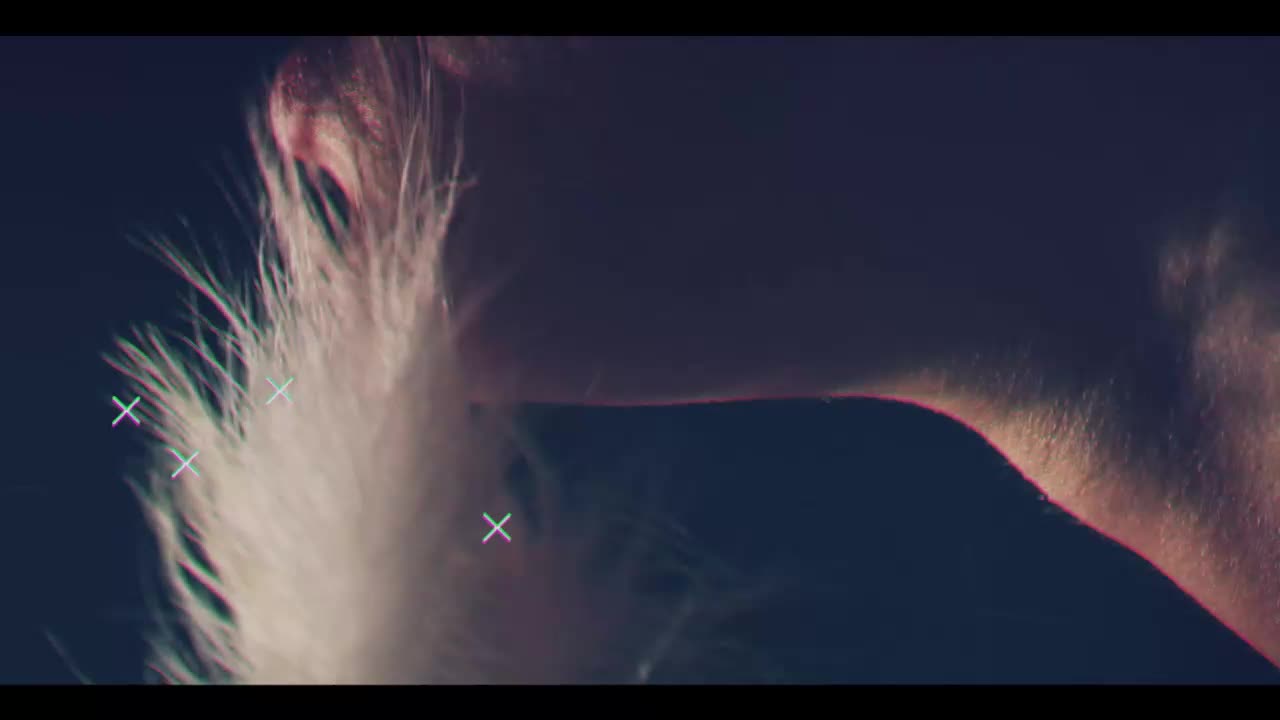 Taanni Cam Model Chat September 27, 2025