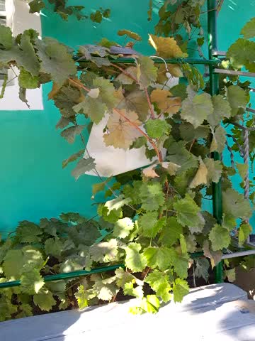 Miss_tits2025 Cam Model Chat September 28, 2025