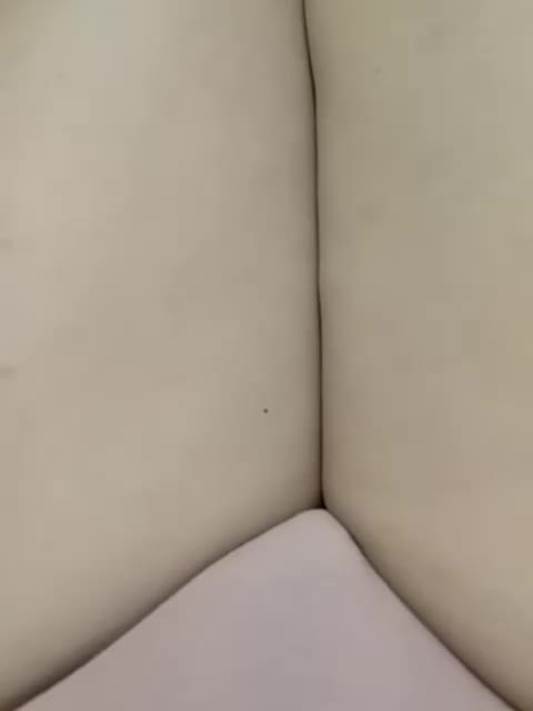 GolayaPravda Cam Model Chat September 28, 2025