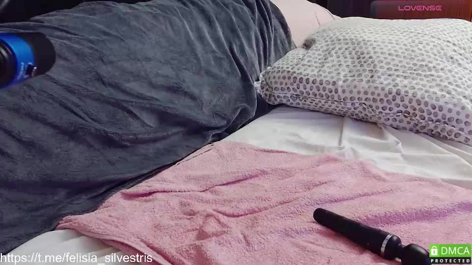 felisia_silvestris Cam Model Chat September 29, 2025