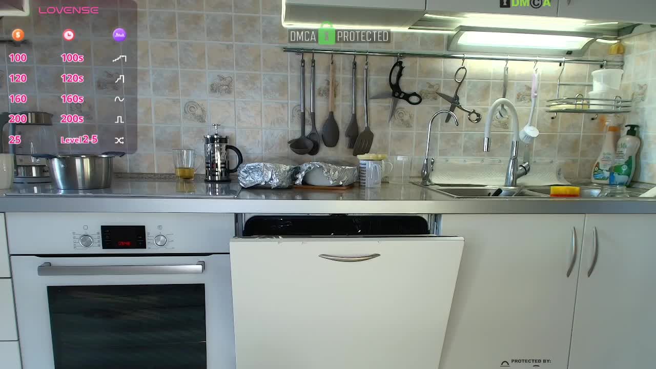 RedAura Cam Model Chat September 29, 2025