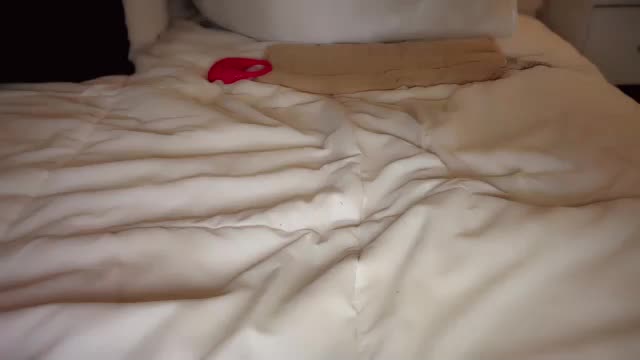 demontriaxx Cam Model Chat September 30, 2025