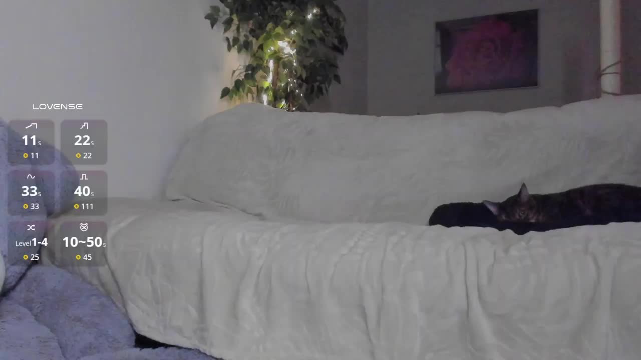 Eva_Shameless Cam Model Chat September 30, 2025