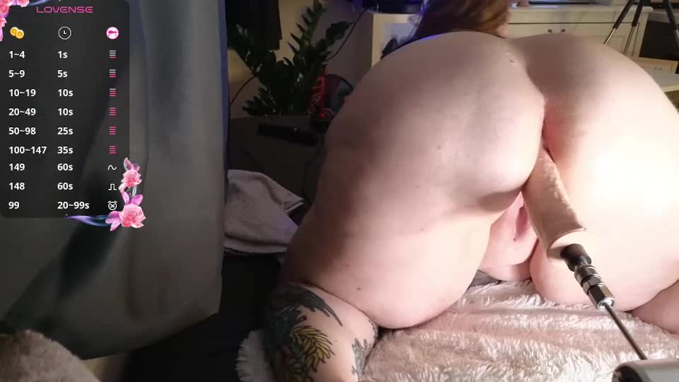 enjoyreynolds Cam Model Chat September 30, 2025