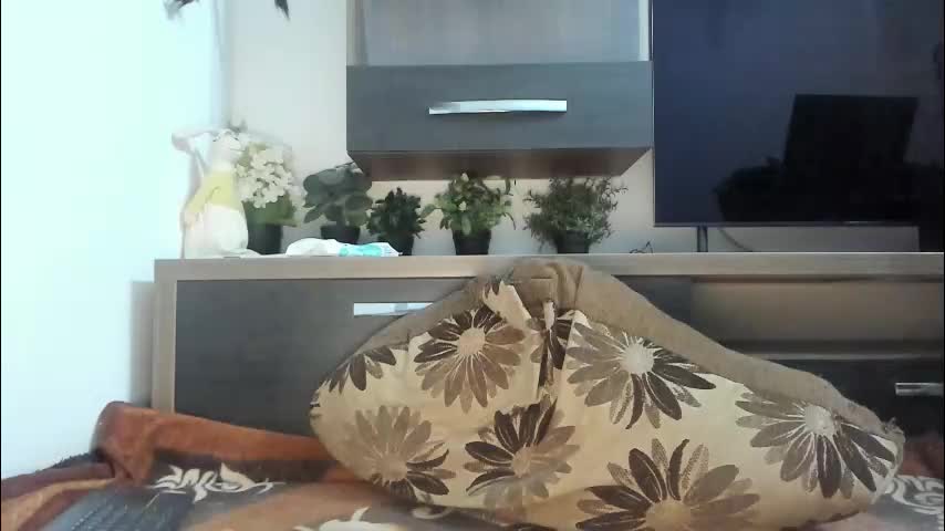 mellbell_ Cam Model Chat September 30, 2025