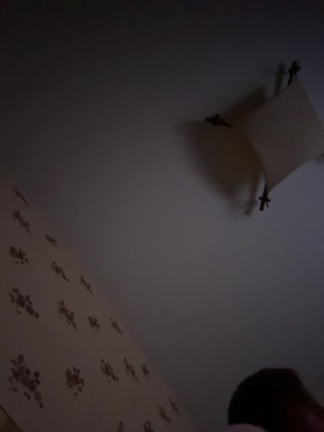 Rinaaamur Cam Model Chat September 30, 2025