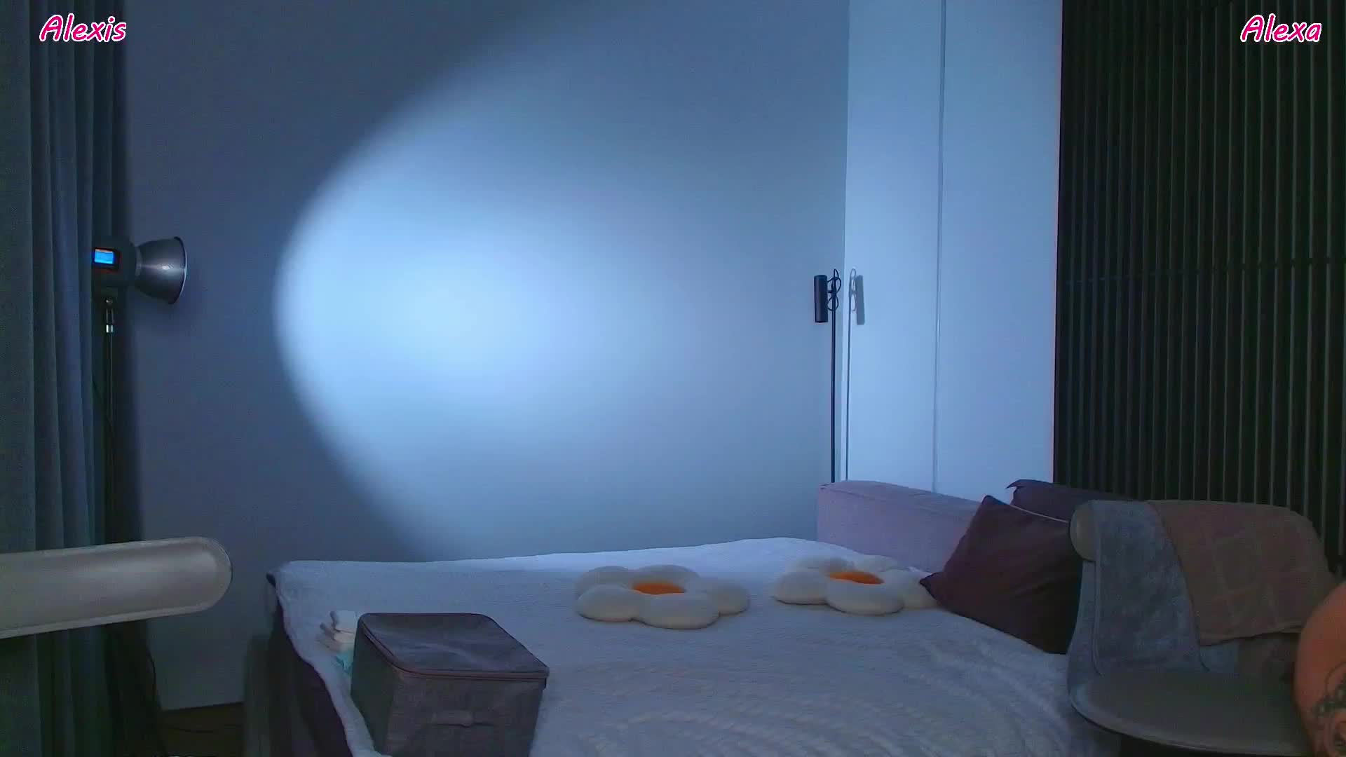 AlexisGrays Cam Model Chat September 30, 2025