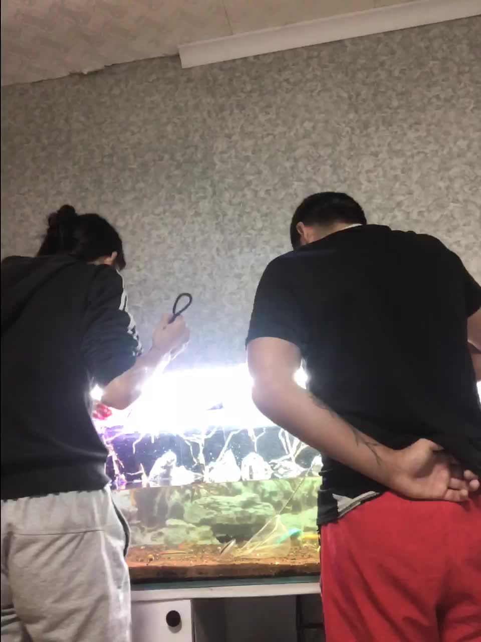 Sexicoupl Cam Model Chat September 30, 2025