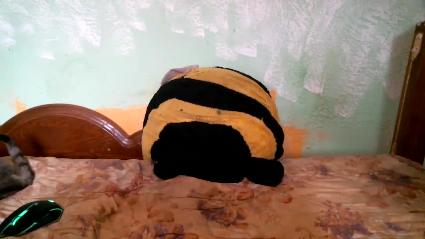 DennisXCaroll Cam Model Chat September 30, 2025