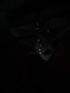 YuGoVi Cam Model Chat October 1, 2025