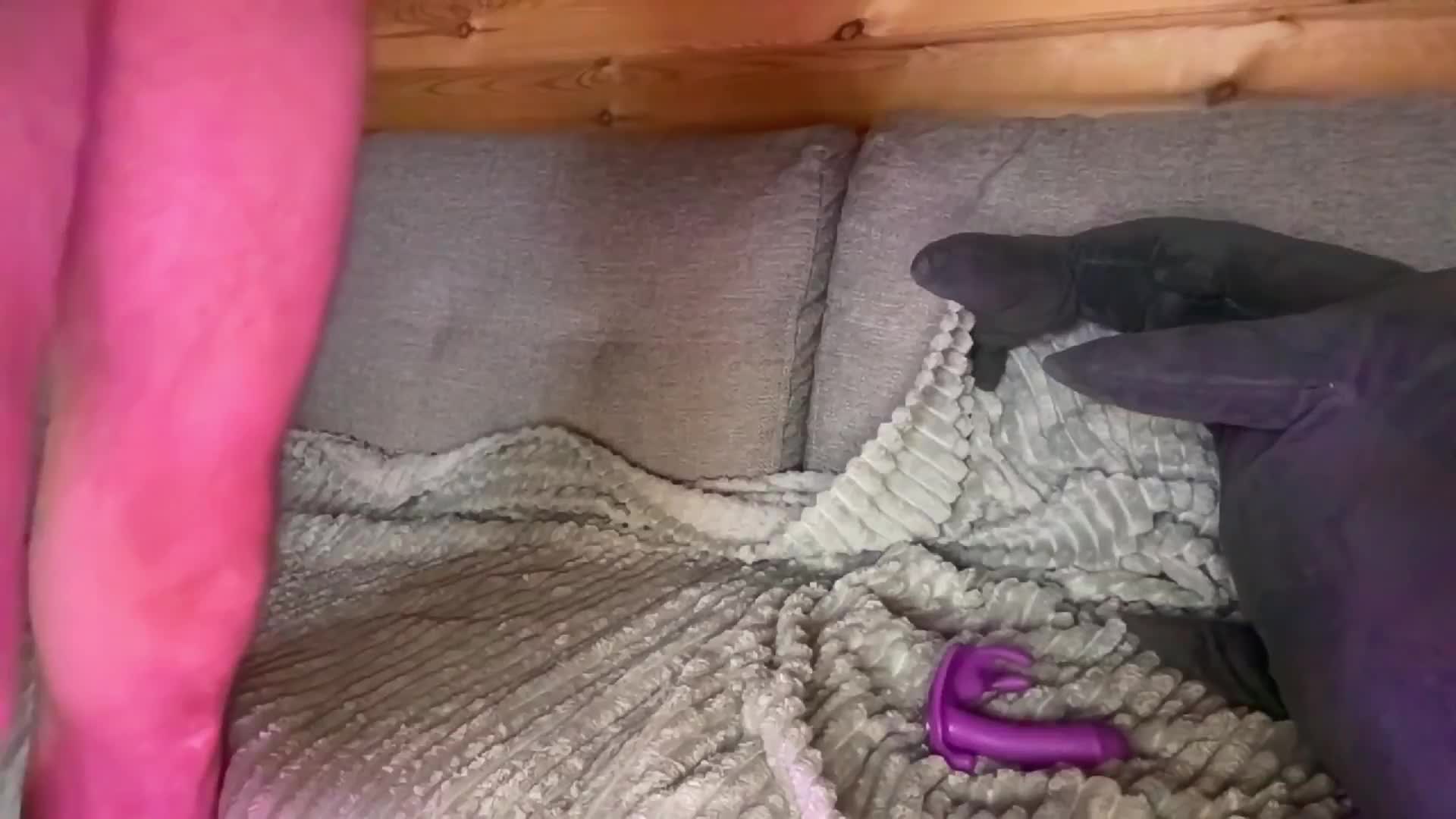 AliceAndAlex Cam Model Chat October 1, 2025