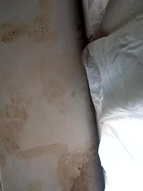 ericakat Cam Model Chat October 1, 2025