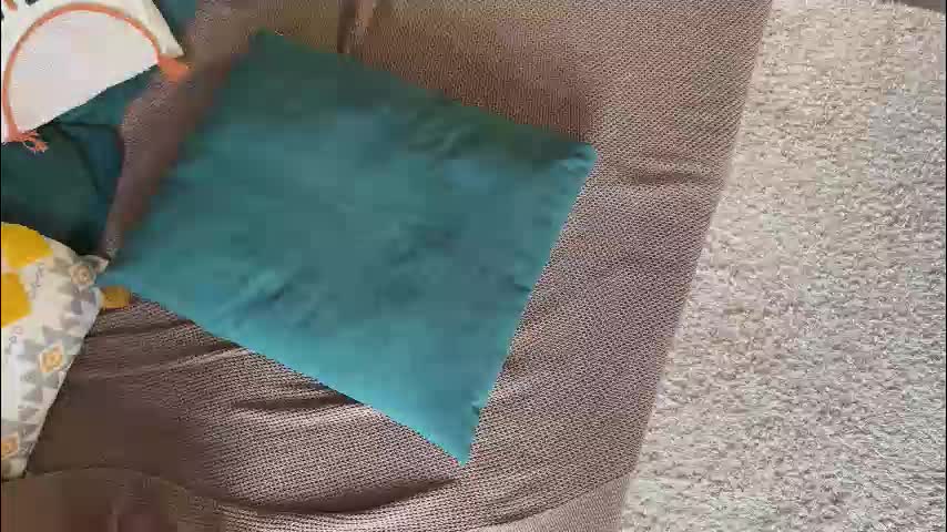 twixsex Cam Model Chat October 1, 2025