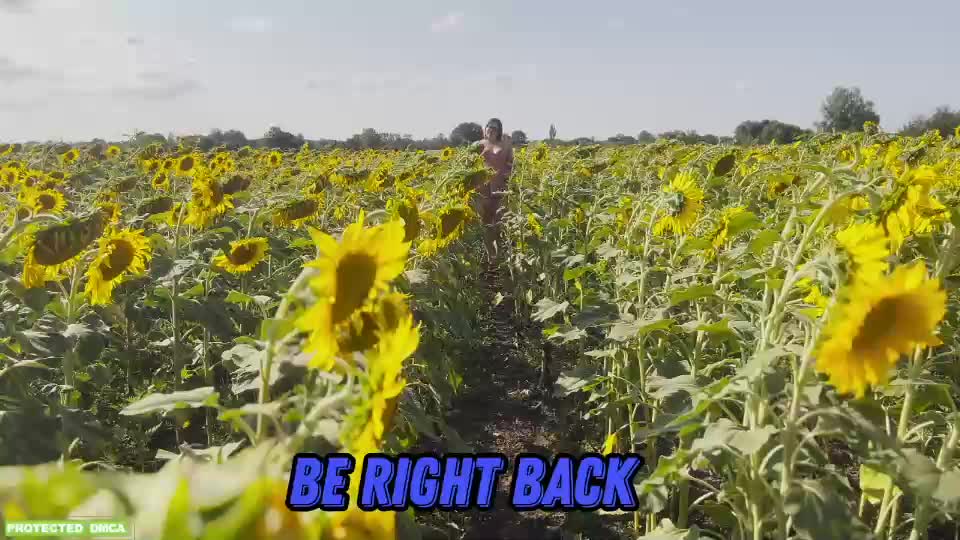 sunflower0907 Cam Model Chat October 1, 2025