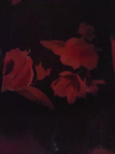 SexPara696969 Cam Model Chat October 2, 2025