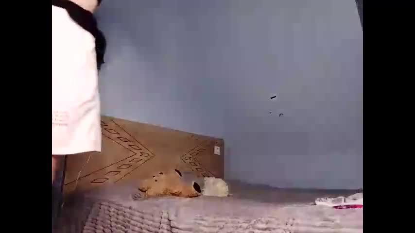 lesyawhite Cam Model Chat October 2, 2025