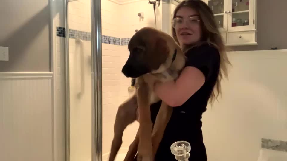 intothewoodswego Cam Model Chat October 2, 2025