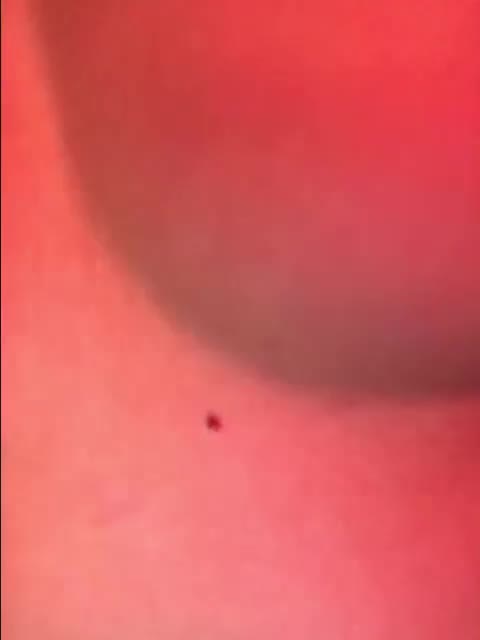 __Kybi1__ Cam Model Chat October 2, 2025