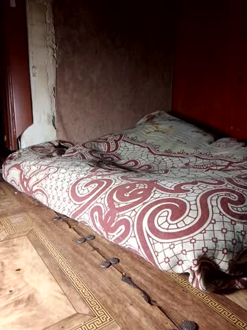 Holly_Bette Cam Model Chat October 2, 2025