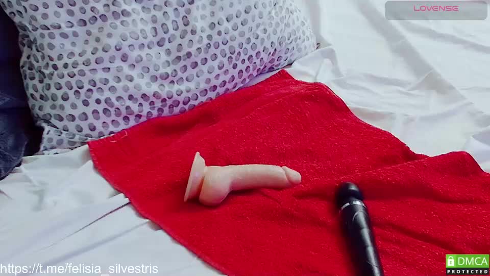 felisia_silvestris Cam Model Chat October 2, 2025