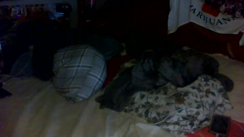 dreaded_folks Cam Model Chat October 2, 2025