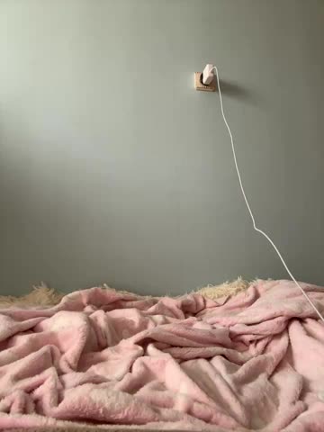 AlisaDoll444 Cam Model Chat October 2, 2025