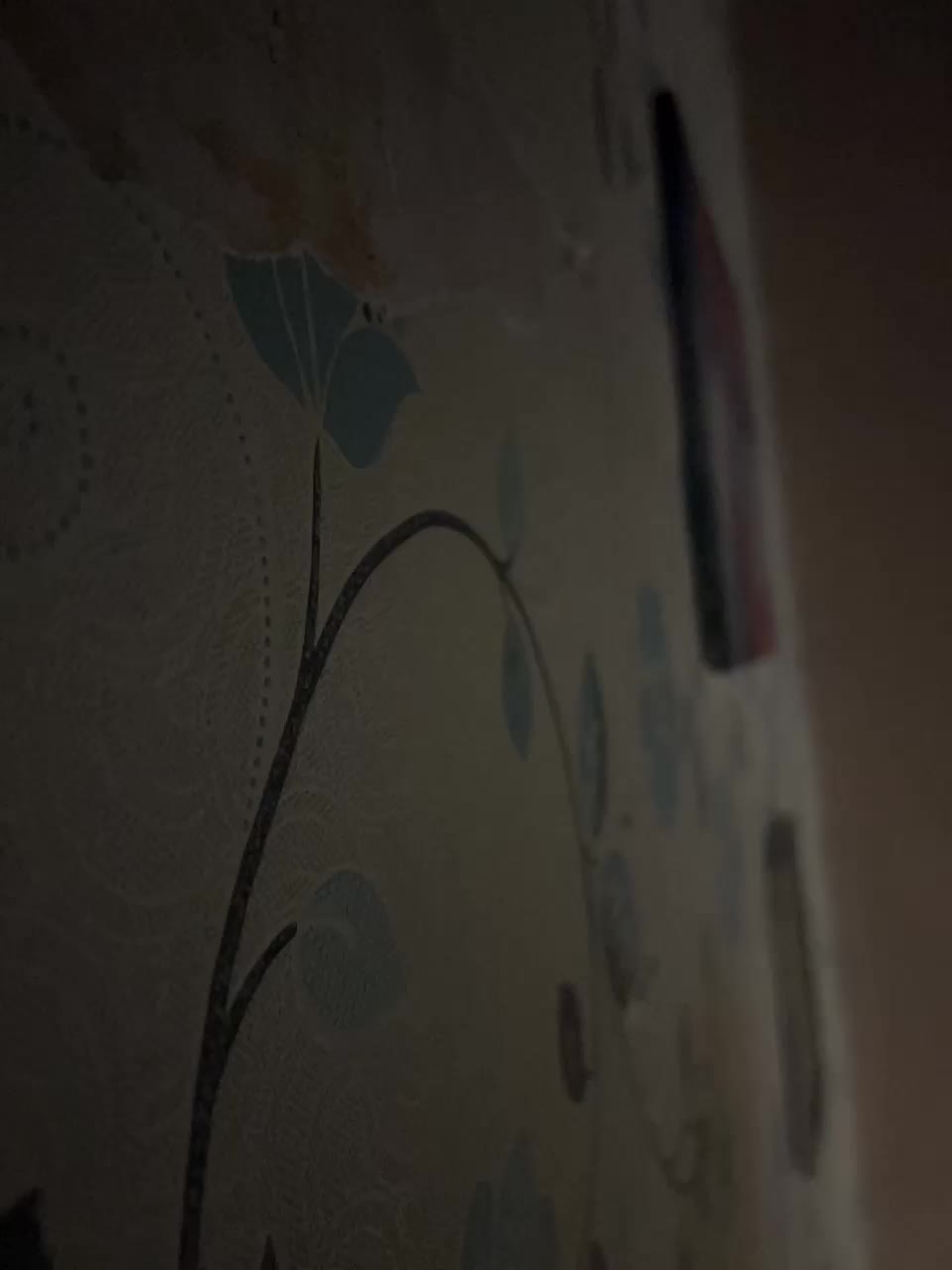 Aleks3012 Cam Model Chat October 3, 2025