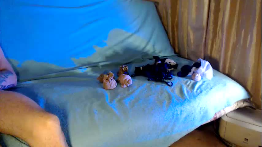 trioa Cam Model Chat October 3, 2025