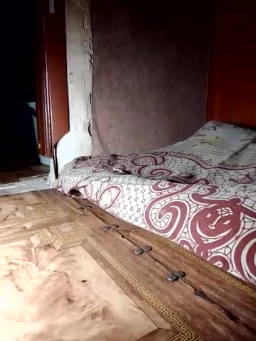 Holly_Bette Cam Model Chat October 3, 2025