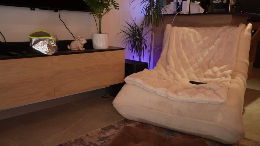 ibiddi Cam Model Chat October 3, 2025