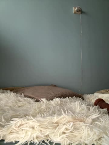 AlisaDoll444 Cam Model Chat October 3, 2025