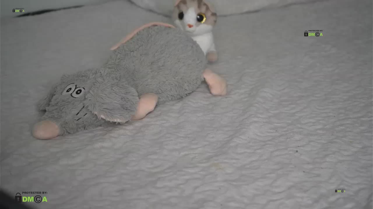 LornaParty Cam Model Chat October 3, 2025