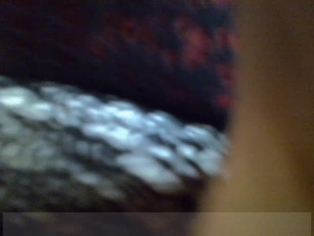 SanLuna Cam Model Chat October 3, 2025