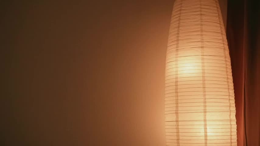 STANOVAYA300KG Cam Model Chat October 3, 2025