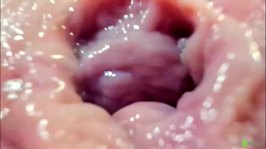 courtney_luv Cam Model Chat October 4, 2025