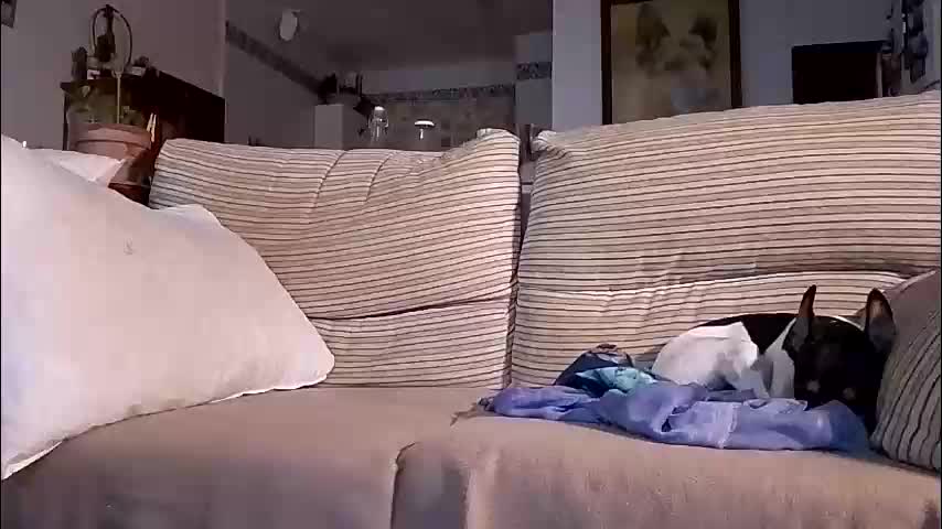 lolahueso Cam Model Chat October 4, 2025