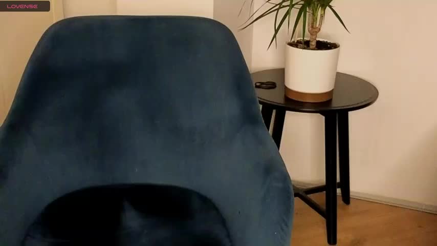 NoFace_Model Cam Model Chat October 4, 2025