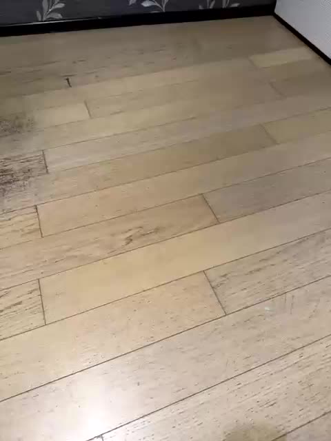 Belladonna-5 Cam Model Chat October 4, 2025