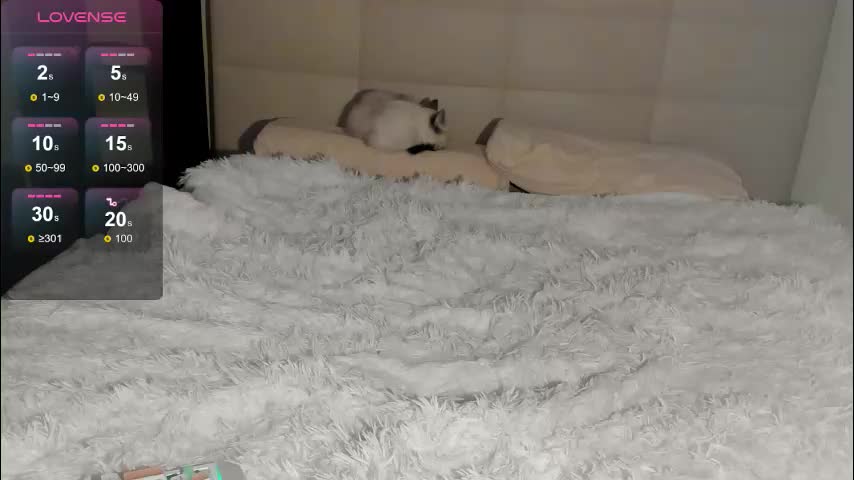 tune_godness Cam Model Chat October 4, 2025