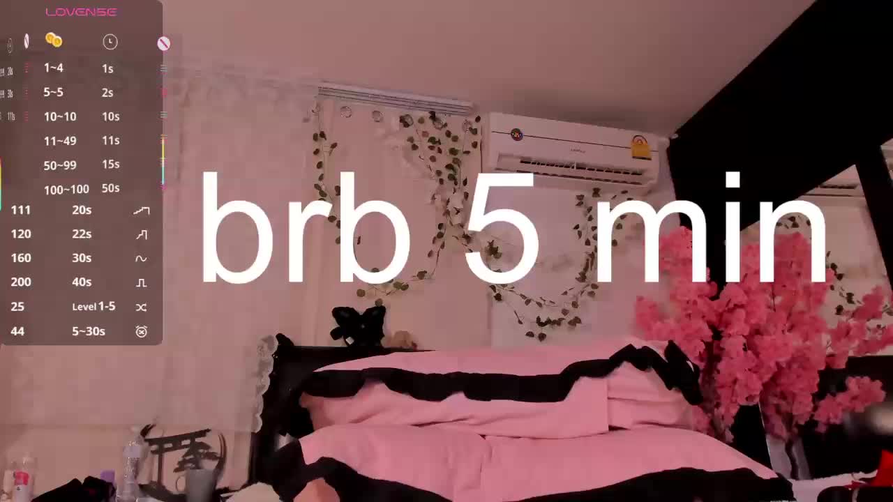 Leinbone Cam Model Chat October 4, 2025