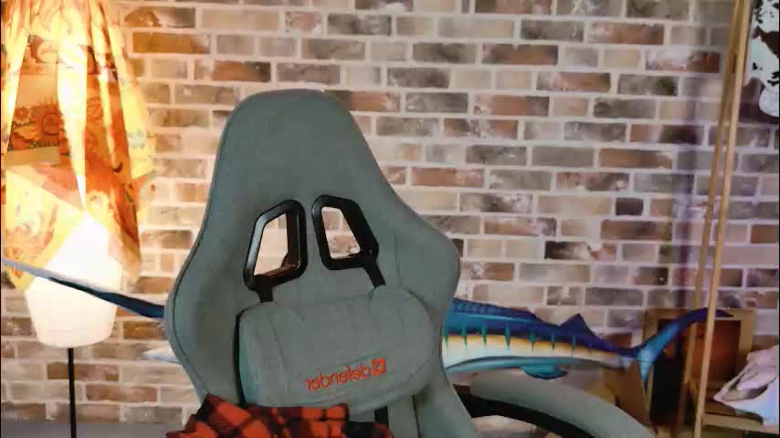 chillsnail_bro Cam Model Chat October 4, 2025