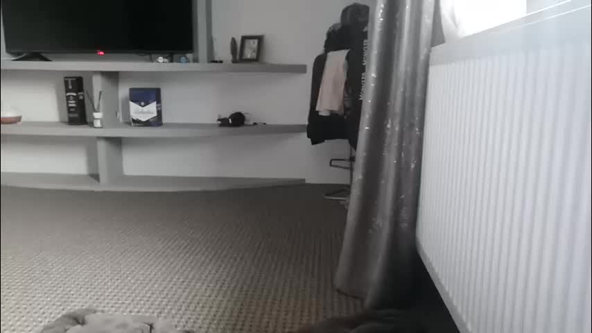 crazybrenda89 Cam Model Chat October 4, 2025