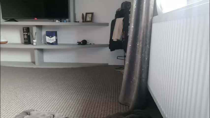 crazybrenda89 Cam Model Chat October 4, 2025