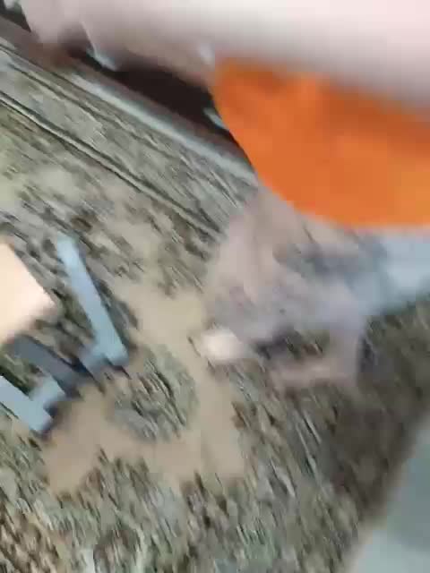 SexyCouple69 Cam Model Chat October 4, 2025