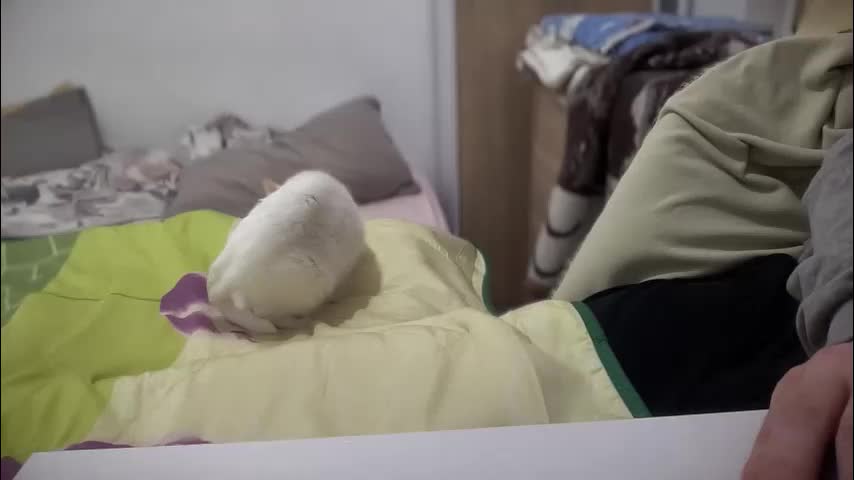 rosea_champagne Cam Model Chat October 4, 2025